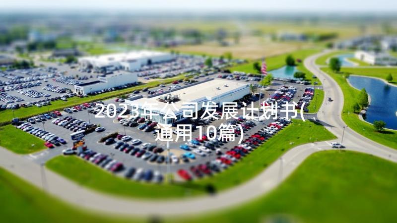 2023年公司发展计划书(通用10篇)