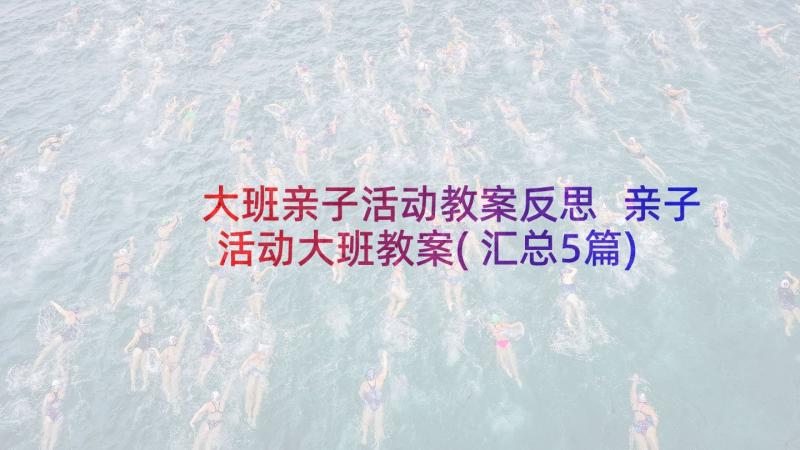 大班亲子活动教案反思 亲子活动大班教案(汇总5篇)