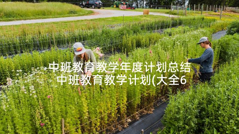 中班教育教学年度计划总结 中班教育教学计划(大全6篇)