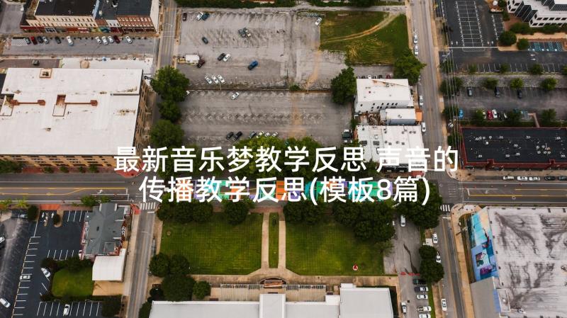 最新音乐梦教学反思 声音的传播教学反思(模板8篇)