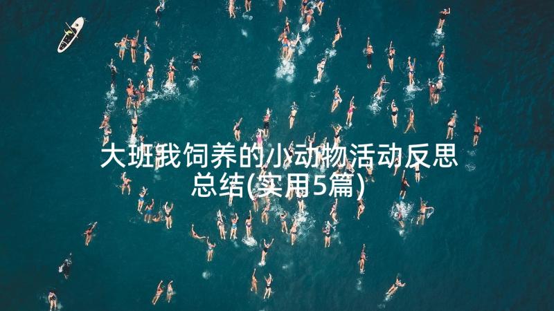 大班我饲养的小动物活动反思总结(实用5篇)