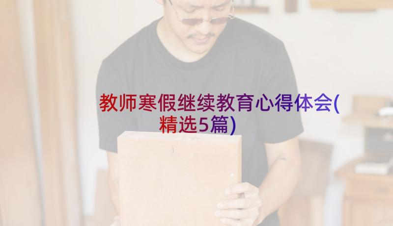 教师寒假继续教育心得体会(精选5篇)