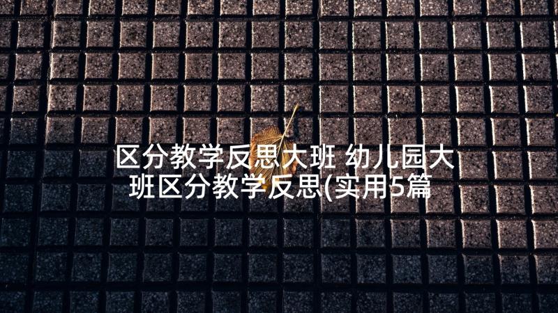 区分教学反思大班 幼儿园大班区分教学反思(实用5篇)