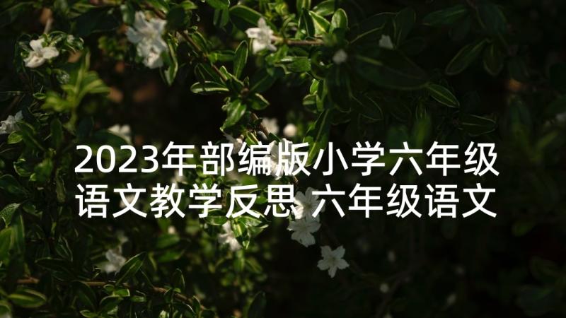 2023年部编版小学六年级语文教学反思 六年级语文教学反思(汇总9篇)