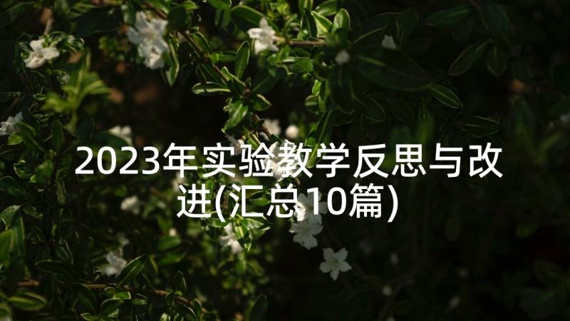 2023年实验教学反思与改进(汇总10篇)