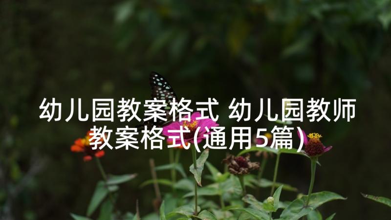 幼儿园教案格式 幼儿园教师教案格式(通用5篇)