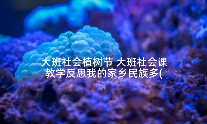 大班社会植树节 大班社会课教学反思我的家乡民族多(模板8篇)