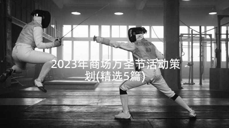 2023年商场万圣节活动策划(精选5篇)