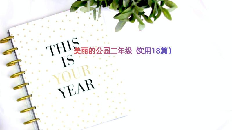 美丽的公园二年级（实用18篇）