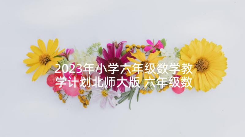 2023年小学六年级数学教学计划北师大版 六年级数学教学计划(通用7篇)