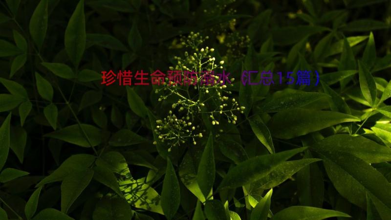 珍惜生命预防溺水（汇总15篇）