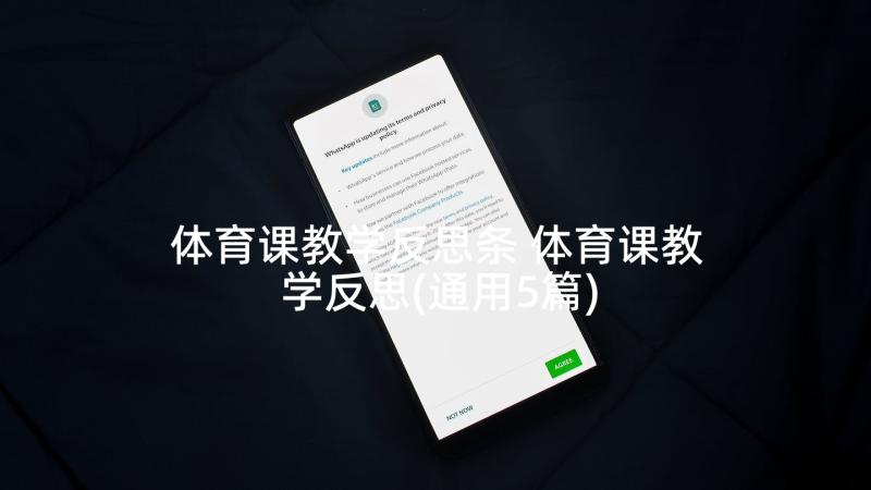 体育课教学反思条 体育课教学反思(通用5篇)