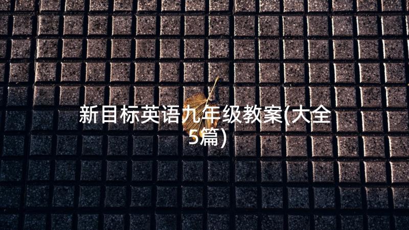 新目标英语九年级教案(大全5篇)