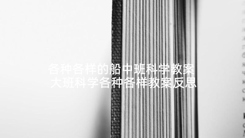 各种各样的船中班科学教案 大班科学各种各样教案反思(优秀6篇)