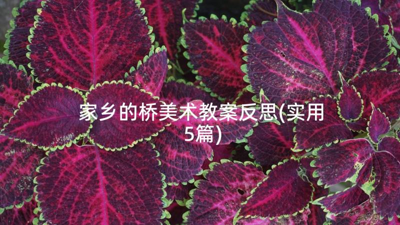 家乡的桥美术教案反思(实用5篇)