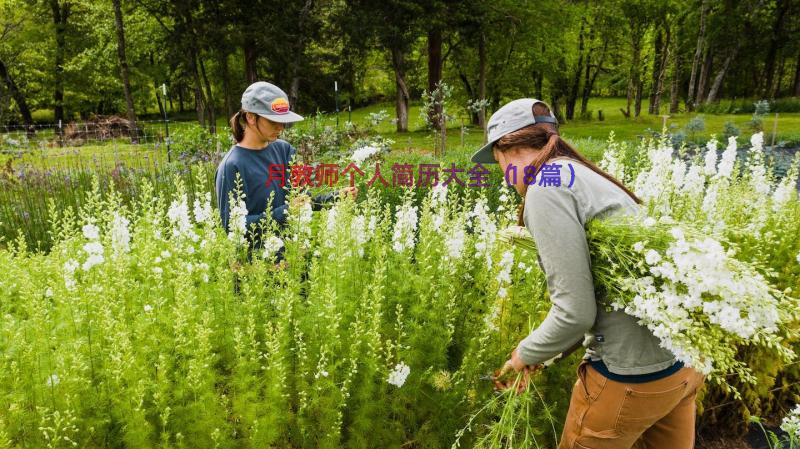 月教师个人简历大全（18篇）