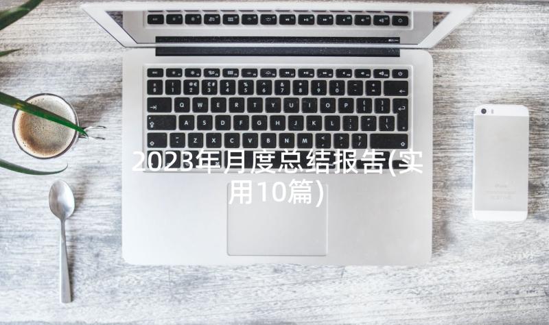 2023年月度总结报告(实用10篇)