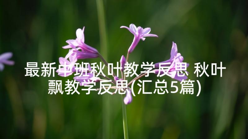 最新中班秋叶教学反思 秋叶飘教学反思(汇总5篇)