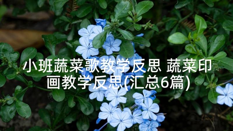 小班蔬菜歌教学反思 蔬菜印画教学反思(汇总6篇)