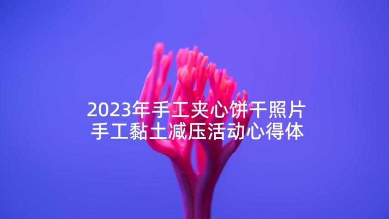 2023年手工夹心饼干照片 手工黏土减压活动心得体会(实用7篇)