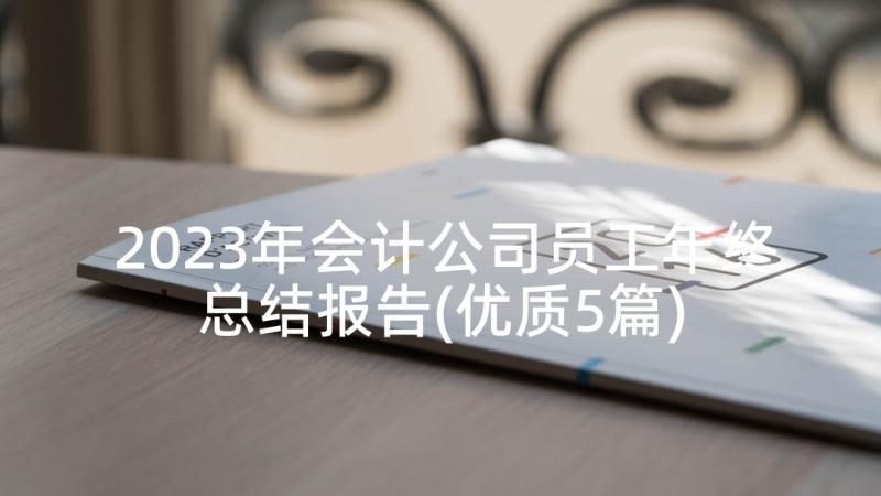 2023年会计公司员工年终总结报告(优质5篇)