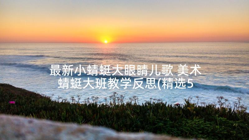 最新小蜻蜓大眼睛儿歌 美术蜻蜓大班教学反思(精选5篇)