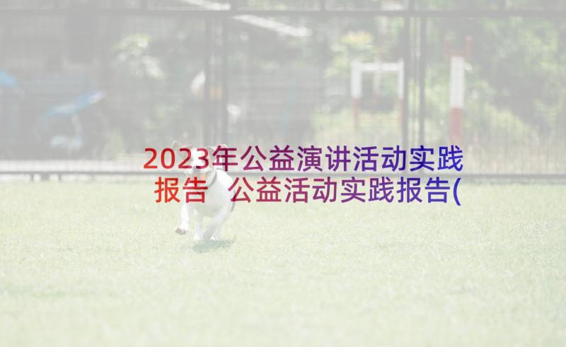 2023年公益演讲活动实践报告 公益活动实践报告(汇总5篇)