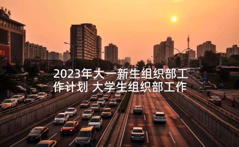 2023年大一新生组织部工作计划 大学生组织部工作计划(大全5篇)