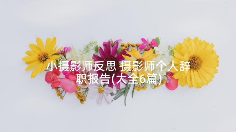 小摄影师反思 摄影师个人辞职报告(大全6篇)