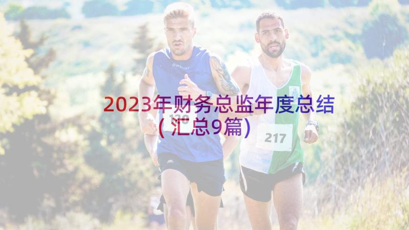 2023年财务总监年度总结(汇总9篇)