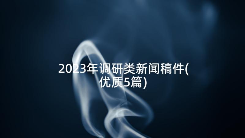 2023年调研类新闻稿件(优质5篇)