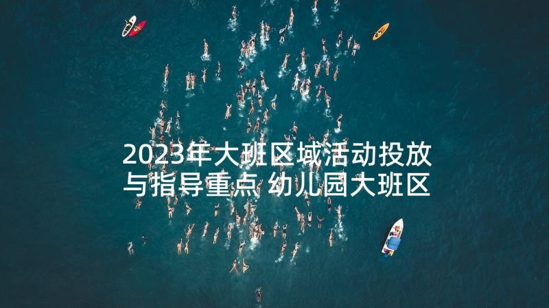 2023年大班区域活动投放与指导重点 幼儿园大班区域活动总结心得(大全5篇)