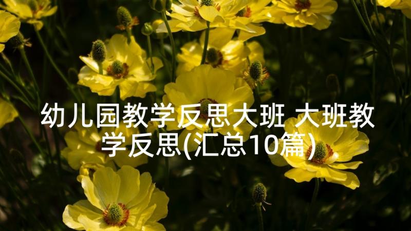 幼儿园教学反思大班 大班教学反思(汇总10篇)