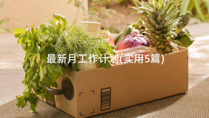 最新月工作计划(实用5篇)