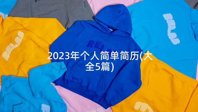 2023年个人简单简历(大全5篇)