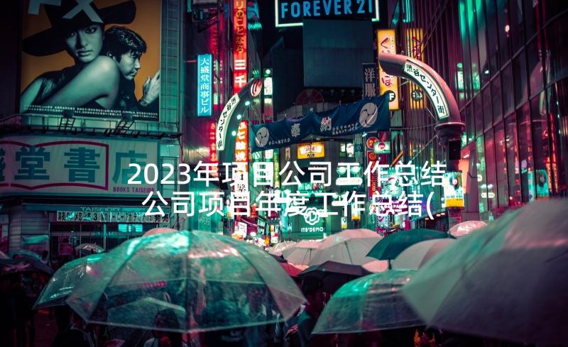 2023年项目公司工作总结 公司项目年度工作总结(优质5篇)