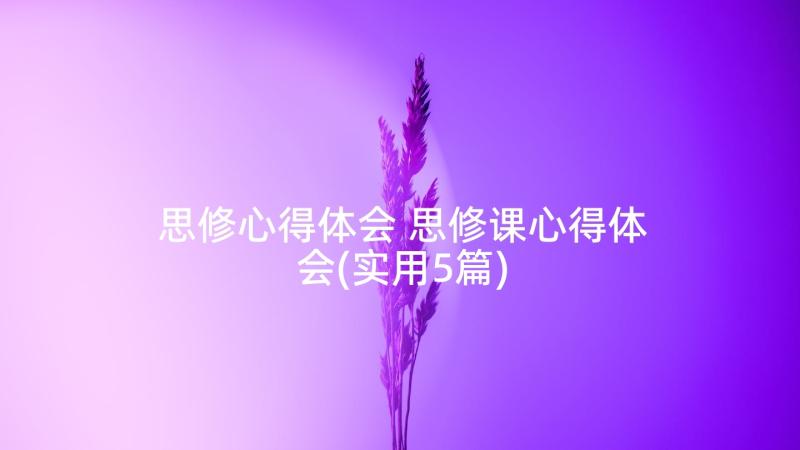 思修心得体会 思修课心得体会(实用5篇)