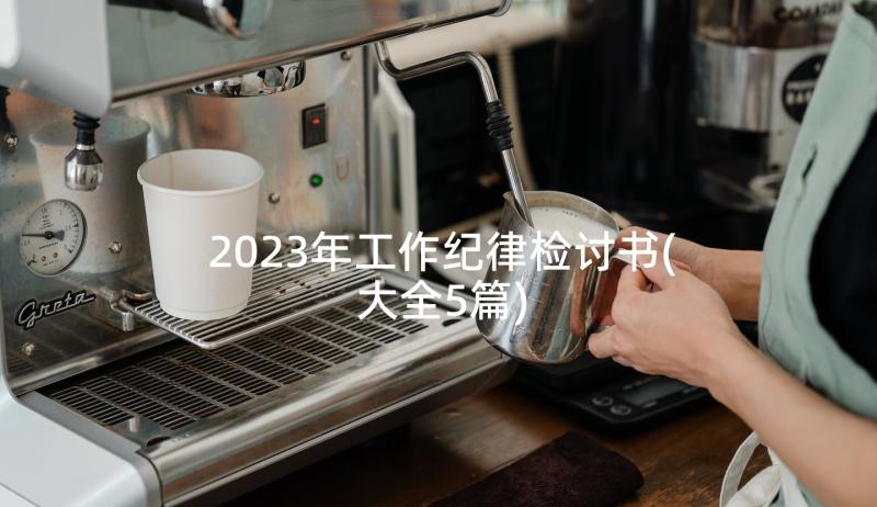 2023年工作纪律检讨书(大全5篇)