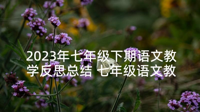 2023年七年级下期语文教学反思总结 七年级语文教学反思(汇总10篇)