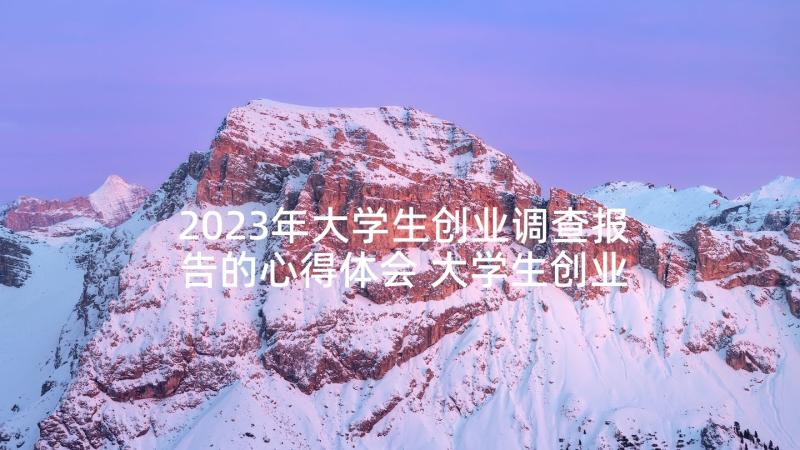 2023年大学生创业调查报告的心得体会 大学生创业心得体会报告(优质6篇)