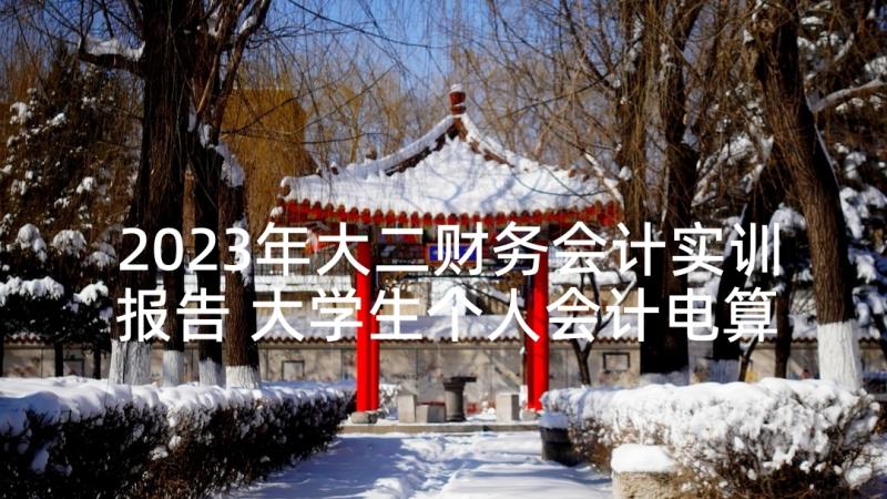 2023年大二财务会计实训报告 大学生个人会计电算化实训报告(实用5篇)