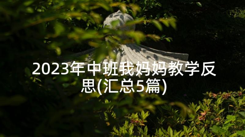 2023年中班我妈妈教学反思(汇总5篇)