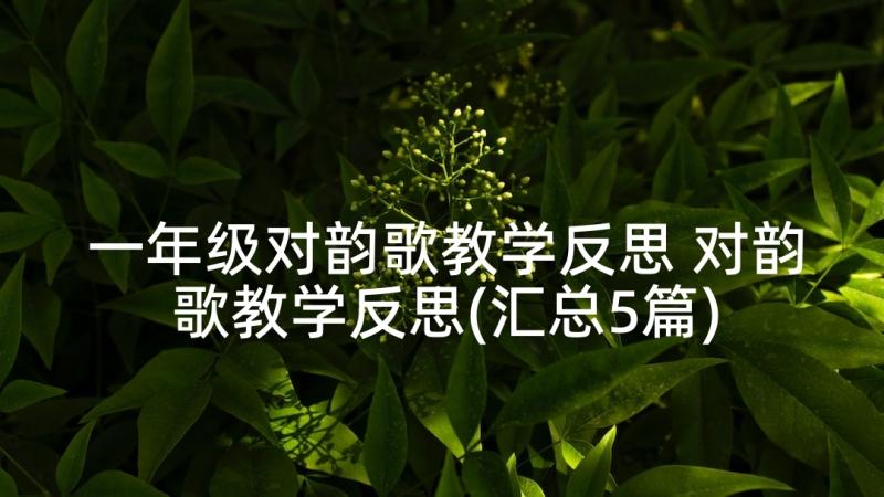 一年级对韵歌教学反思 对韵歌教学反思(汇总5篇)