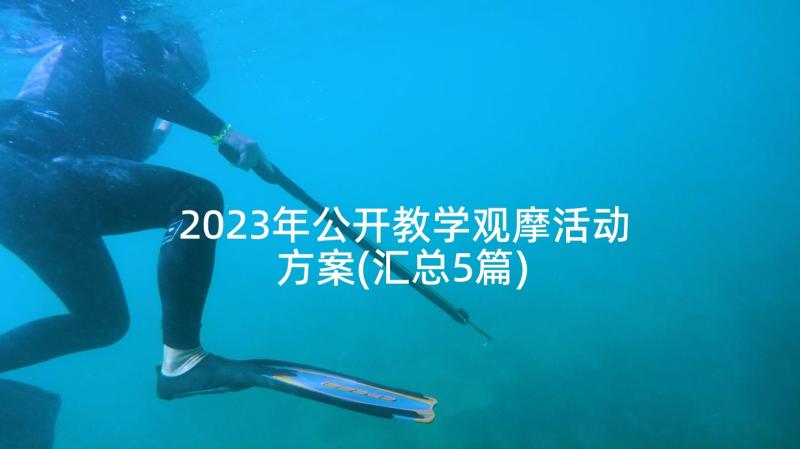 2023年公开教学观摩活动方案(汇总5篇)