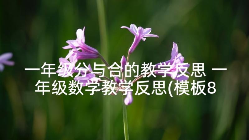 一年级分与合的教学反思 一年级数学教学反思(模板8篇)