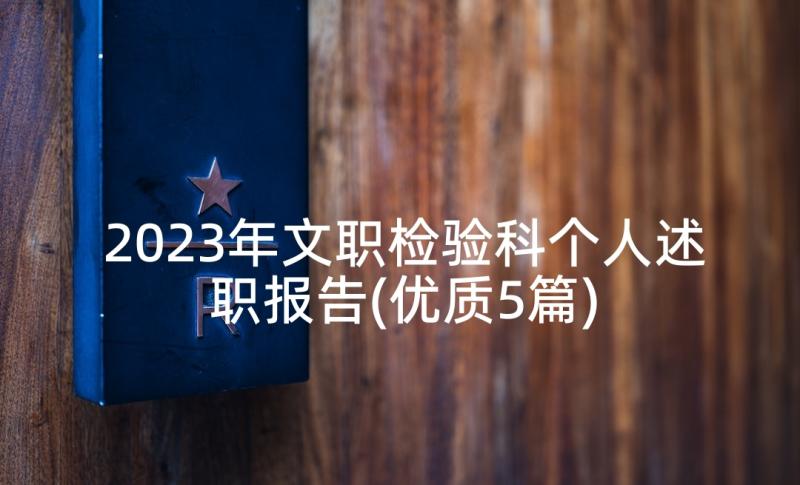 2023年文职检验科个人述职报告(优质5篇)