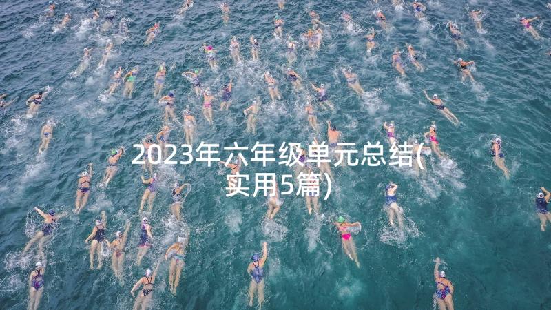 2023年六年级单元总结(实用5篇)