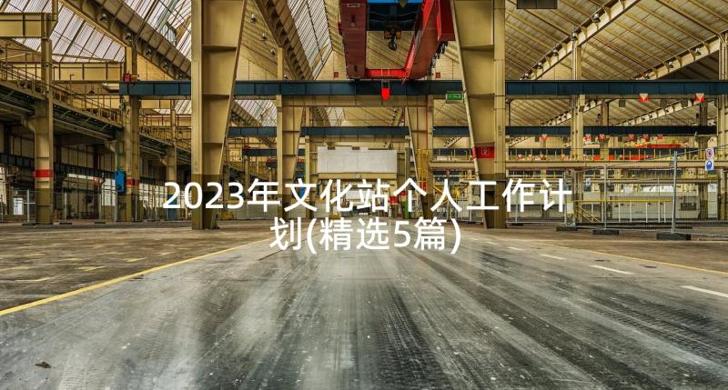 2023年文化站个人工作计划(精选5篇)