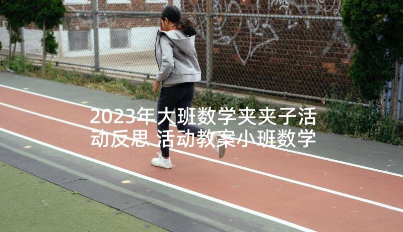 2023年大班数学夹夹子活动反思 活动教案小班数学活动(实用8篇)
