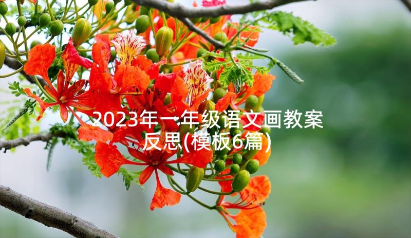 2023年一年级语文画教案反思(模板6篇)